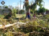 Temporal_15