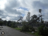 Temporal_52