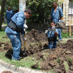 Nuevas cloacas en Castelar